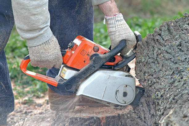 Leaf Removal in East Greenville, PA